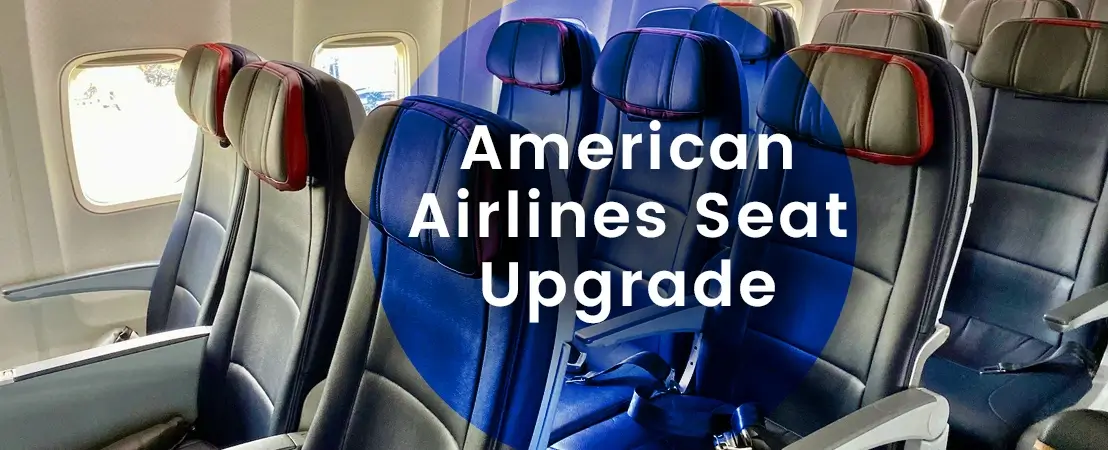 What is American Airlines Economy like in 2023?